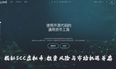 揭秘SCC虚拟币：投资风险