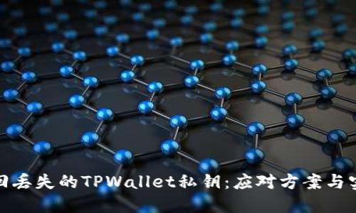 如何找回丢失的TPWallet私钥：应对方案与实用建议