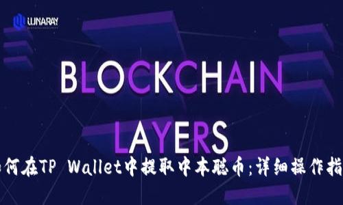 如何在TP Wallet中提取中本聪币：详细操作指南