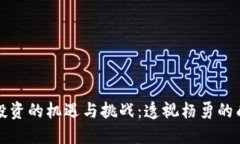 虚拟币投资的机遇与挑战