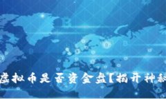 盘古虚拟币是否资金盘？