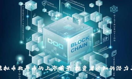 揭秘虚拟币北斗币的上市前景：投资者必知的潜力与风险