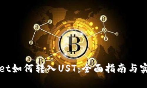 TPWallet如何转入UST：全面指南与实用技巧