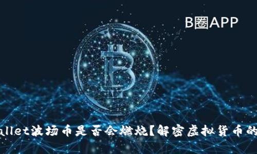 tpwallet波场币是否会燃烧？解密虚拟货币的未来