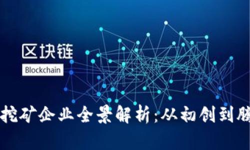 河北省虚拟币挖矿企业全景解析：从初创到腾飞的行业风云