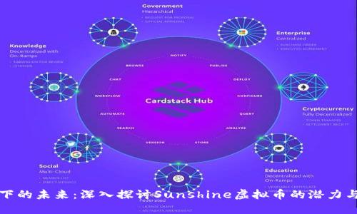 阳光下的未来：深入探讨Sunshine虚拟币的潜力与影响