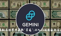 如何在虚拟币世界中获取