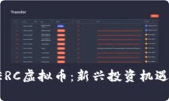 深入解读SERC虚拟币：新兴