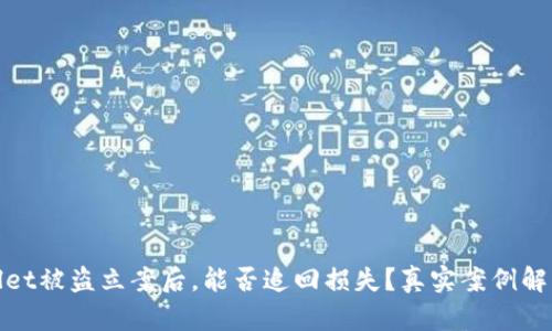 : TPWallet被盗立案后，能否追回损失？真实案例解析与建议