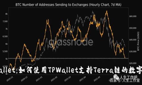 探索TPWallet：如何使用TPWallet支持Terra链的数字资产管理