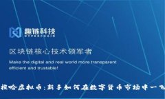 开局梭哈虚拟币：新手如