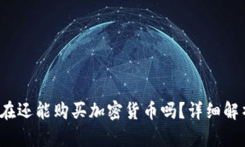 TPWallet：现在还能购买加密货币吗？详细解析及操作指南