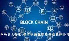 虚拟币的多元赛道：揭示