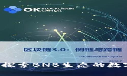 TPWallet：全面探索BNB生态的数字资产管理利器