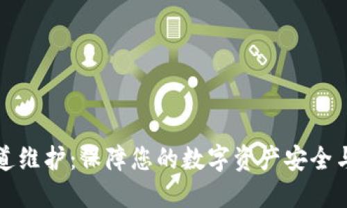 虚拟币通道维护：保障您的数字资产安全与顺畅流通