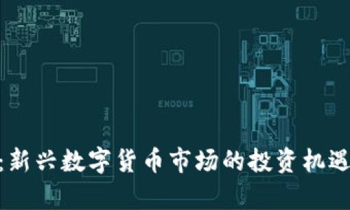 NTA虚拟币：新兴数字货币市场的投资机遇与风险分析