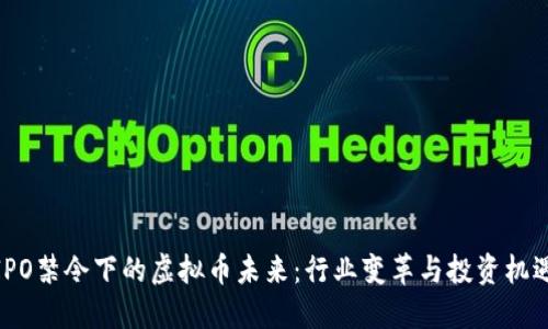 IPO禁令下的虚拟币未来：行业变革与投资机遇