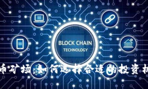 江苏盐城虚拟币矿场：如何选择合适的投资机会与发展趋势