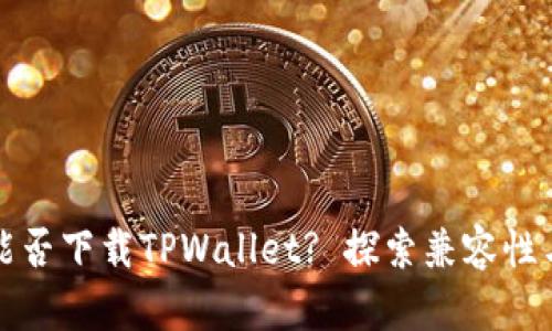 苹果手机能否下载TPWallet? 探索兼容性与使用体验