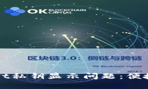 如何解决TPWallet私钥显示问题：便捷查询与安全管理