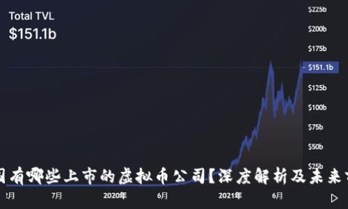 美国有哪些上市的虚拟币公司？深度解析及未来前景