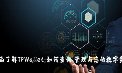 全面了解TPWallet：如何查询、管理与您的数字资产