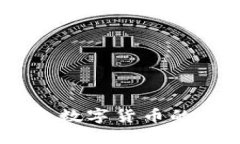 探秘云珍币：未来数字货币的新星与投资机会