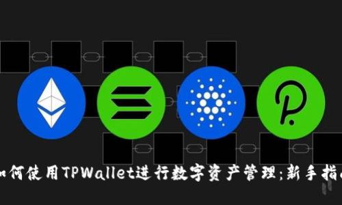 如何使用TPWallet进行数字资产管理：新手指南