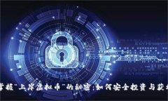 掌握“上岸虚拟币”的秘密：如何安全投资与获