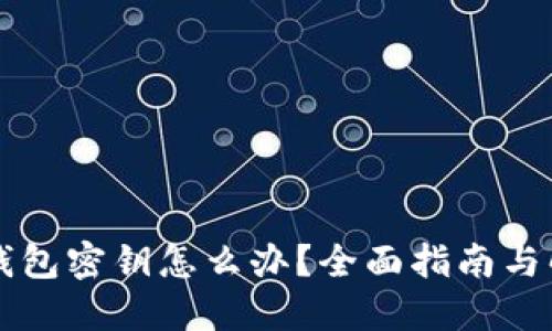 忘记TP钱包密钥怎么办？全面指南与解决方案