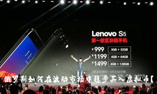 俄罗斯如何在波动市场中稳步买入虚拟币？