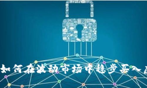 俄罗斯如何在波动市场中稳步买入虚拟币？