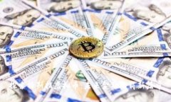 探索特斯拉虚拟币：未来金融的崭新篇章