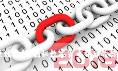 虚拟币豪赌视频：揭秘数字货币背后的惊天发财梦