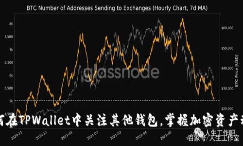 如何在TPWallet中关注其他钱包，掌握加密资产动态