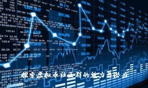 探索虚拟币社区群的魅力与潜力