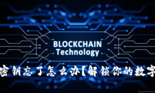 tpwallet密钥忘了怎么办？解锁你的数字资产之路