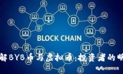 深入了解BYB币与虚拟币：