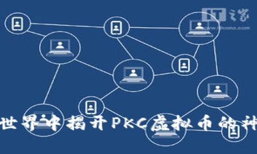 在加密世界中揭开PKC虚拟币的神秘面纱