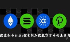 新加坡虚拟币社区：探索