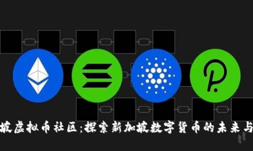 新加坡虚拟币社区：探索新加坡数字货币的未来与机遇