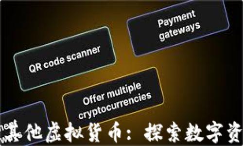 
比特币与其他虚拟货币: 探索数字资产的未来