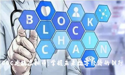 DDC龙块虚拟币：掌握未来数字经济的钥匙