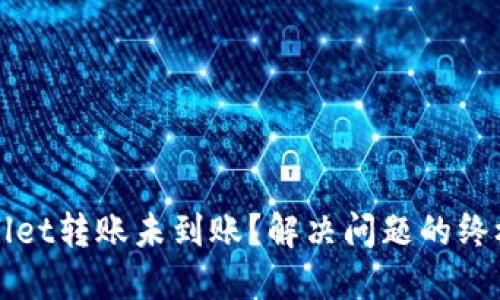 TPWallet转账未到账？解决问题的终极指南