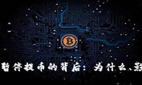虚拟货币交易暂停提币的背后: 为什么、影响与应对策略