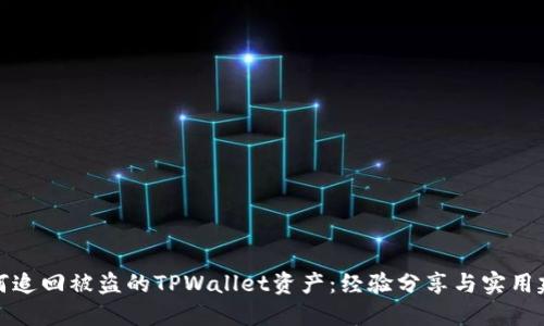 如何追回被盗的TPWallet资产：经验分享与实用建议