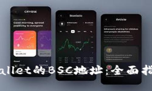 如何获取TPWallet的BSC地址：全面指导与实用技巧