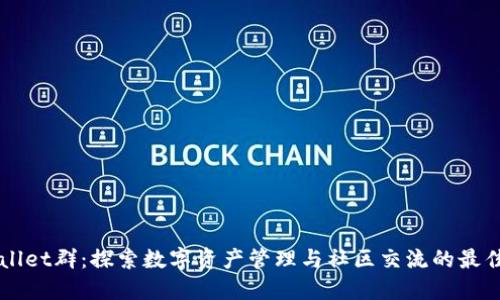 TPWallet群：探索数字资产管理与社区交流的最佳平台