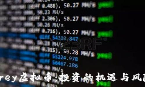  
Grey虚拟币：投资的机遇与风险
