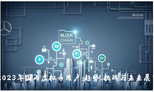 2023年国内虚拟币用户：趋势、挑战与未来展望